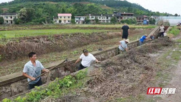 衡南：长效管护让高标准农田“久用常新”