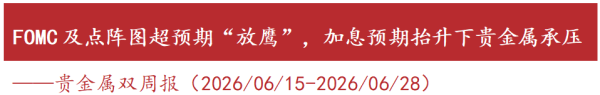 【华源金属】FOMC及点阵图超预期“放鹰”，加息预期抬升下贵金属承压——贵金属双周报