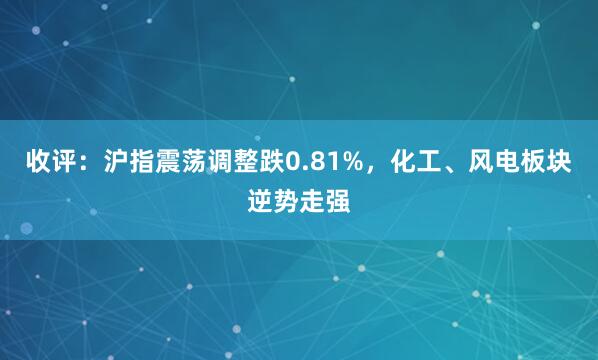 收评：沪指震荡调整跌0.81%，化工、风电板块逆势走强