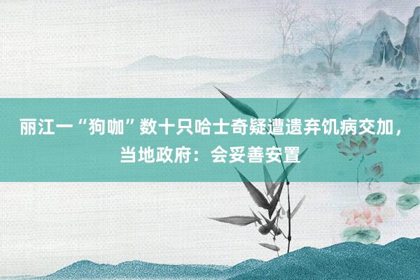丽江一“狗咖”数十只哈士奇疑遭遗弃饥病交加，当地政府：会妥善安置
