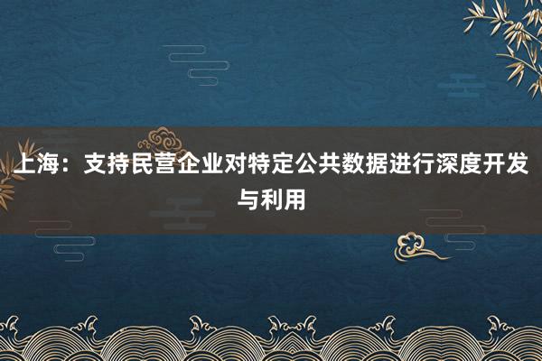 上海：支持民营企业对特定公共数据进行深度开发与利用