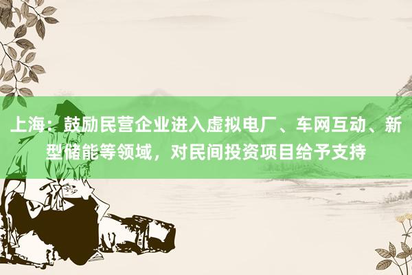 上海：鼓励民营企业进入虚拟电厂、车网互动、新型储能等领域，对民间投资项目给予支持