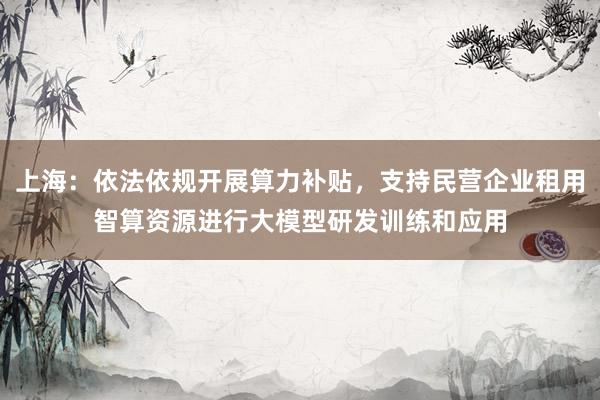 上海：依法依规开展算力补贴，支持民营企业租用智算资源进行大模型研发训练和应用