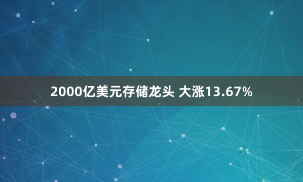 2000亿美元存储龙头 大涨13.67%