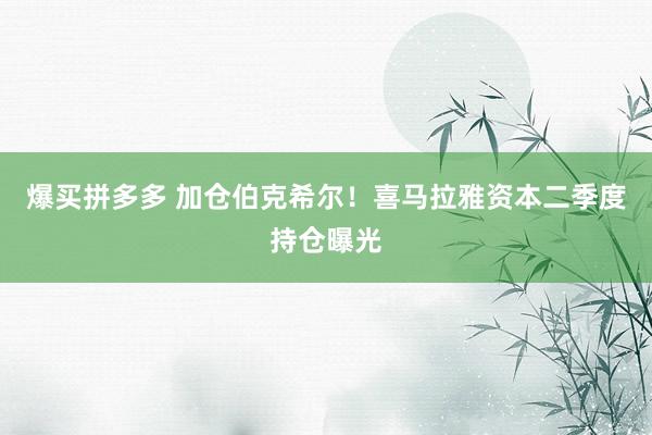 爆买拼多多 加仓伯克希尔！喜马拉雅资本二季度持仓曝光