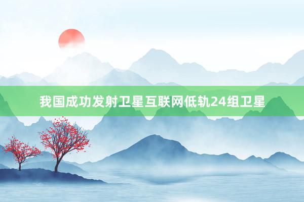 我国成功发射卫星互联网低轨24组卫星