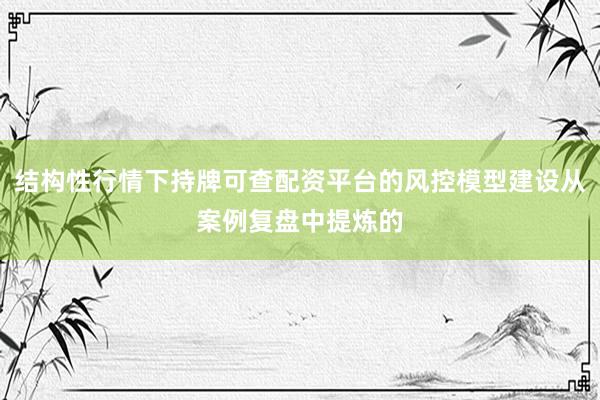 结构性行情下持牌可查配资平台的风控模型建设从案例复盘中提炼的