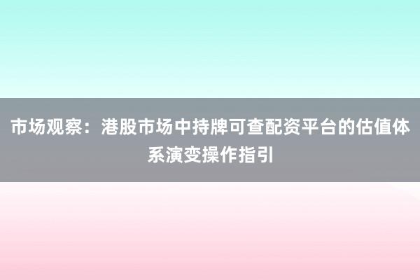 市场观察：港股市场中持牌可查配资平台的估值体系演变操作指引