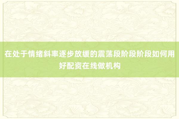 在处于情绪斜率逐步放缓的震荡段阶段阶段如何用好配资在线做机构