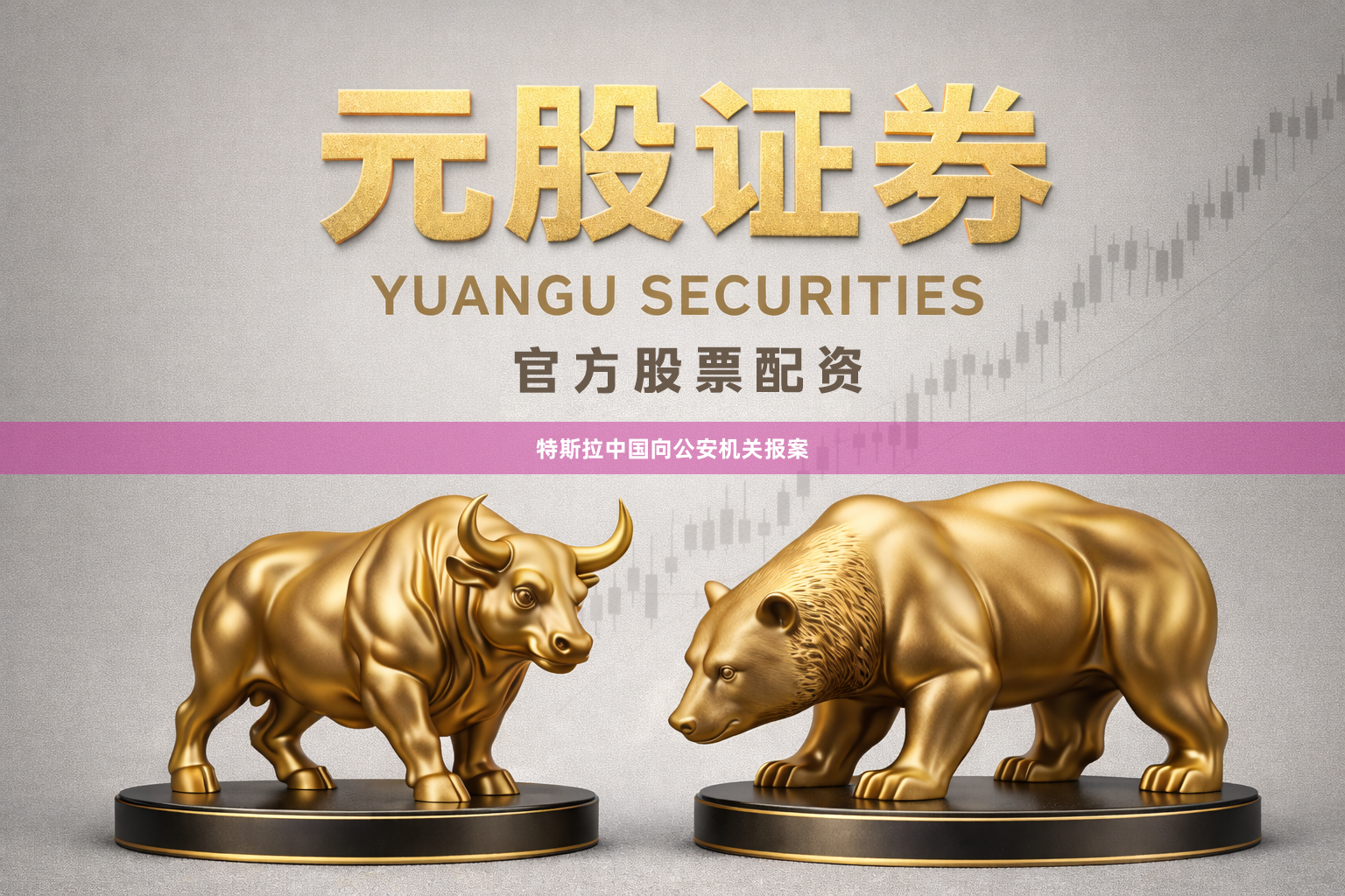 特斯拉中国向公安机关报案