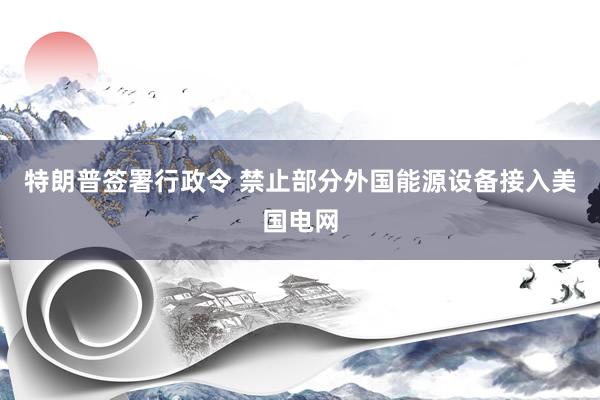 特朗普签署行政令 禁止部分外国能源设备接入美国电网