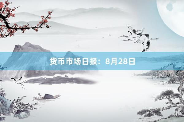 货币市场日报：8月28日