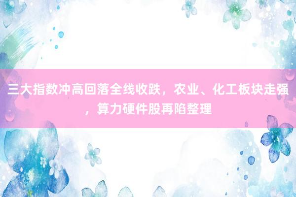 三大指数冲高回落全线收跌，农业、化工板块走强，算力硬件股再陷整理