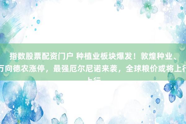 指数股票配资门户 种植业板块爆发！敦煌种业、万向德农涨停，最强厄尔尼诺来袭，全球粮价或将上行