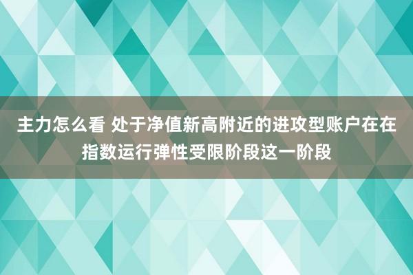 主力怎么看 处于净值新高附近的进攻型账户在在指数运行弹性受限阶段这一阶段