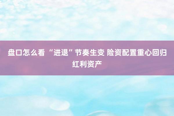 盘口怎么看 “进退”节奏生变 险资配置重心回归红利资产