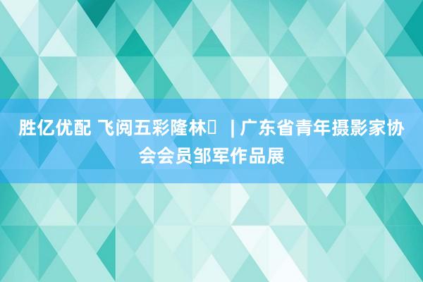 胜亿优配 飞阅五彩隆林⑪ | 广东省青年摄影家协会会员邹军作品展