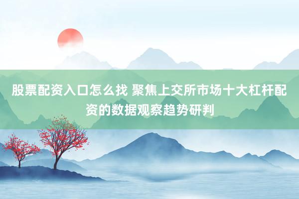 股票配资入口怎么找 聚焦上交所市场十大杠杆配资的数据观察趋势研判