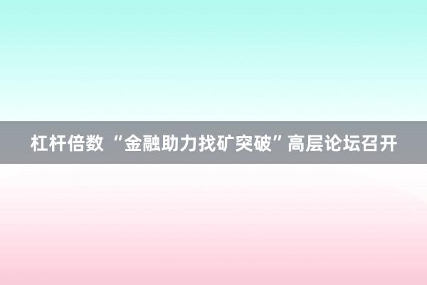 杠杆倍数 “金融助力找矿突破”高层论坛召开